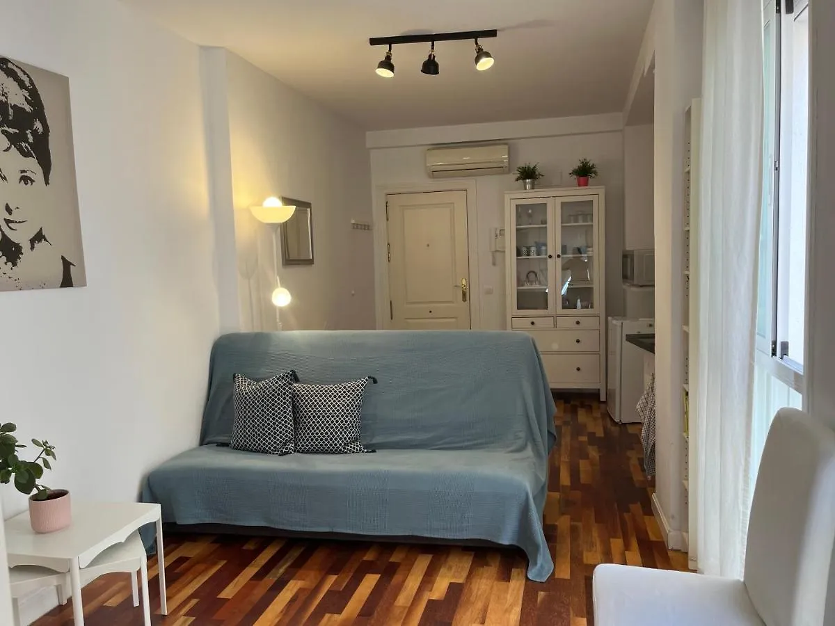 Cozy Dorine Malaga Centro Apartment Spain